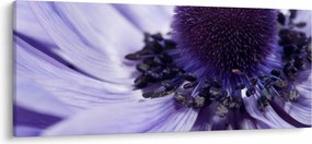 Kép - Ibolya virág (120x50 cm)