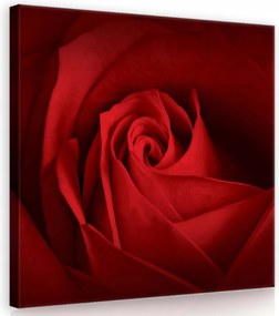 Vászonkép 80x80 Bíbor Rózsacsók Elegancia és szenvedély az otthonodban