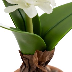 Műnövény (magasság 29 cm) Hyacinth – Ixia