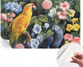 Öntapadós Dekoratív Fotótapéta Hálószobába Egzotikus madarak 416x254