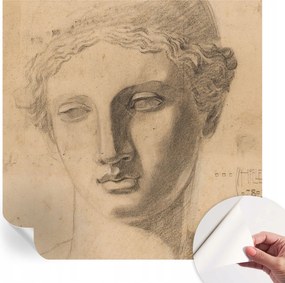 Öntapadós Dekoratív Fotótapéta Hálószobába Női portré 250x250 cm