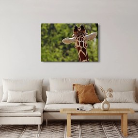 A zsiráf képe hátulról (90x60 cm)