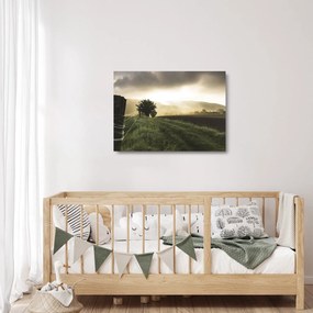 Egy rét képe (üvegen) (70x50 cm)