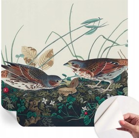 Öntapadós Dekoratív Fotótapéta Hálószobába A természet varázsa 250x250 cm