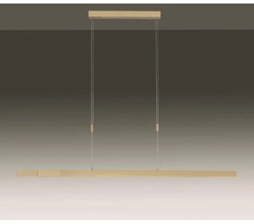 Paul Neuhaus 2568-60 - LED dimmelhető csillár zsinóron ADRIANA LED/14W/230V réz