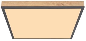 Globo 416080WD2 - LED Mennyezeti lámpa DORO LED/24W/230V