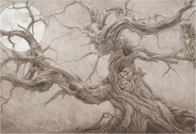 Fotótapéta Flizelina Nappali és Hálószoba Éjjeli madarak 152x104 Ragasztó