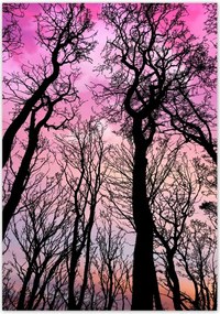 Poszterek 70x100 Tájkép Látvány