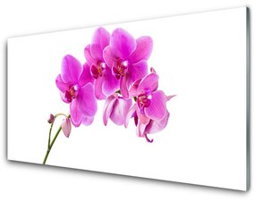 Akrilüveg fotó Orchidea virág orchidea 100x50 cm 2 fogas