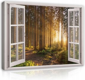 Vászonkép Erdő Falra Ablak 3D Nagy Vászon 80x60