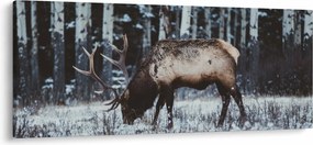 Kép - szarvas télen (120x50 cm)
