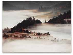 Vászon falikép, köd, 85x113 cm, fehér-sötétbarna - BRUME