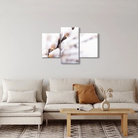 Kép - Macska (90x60 cm)
