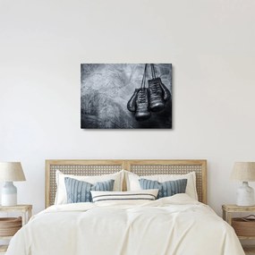 Kép - Boksz kesztyű (70x50 cm)