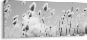 Kép - Boho nyuszi farok fű (120x50 cm)