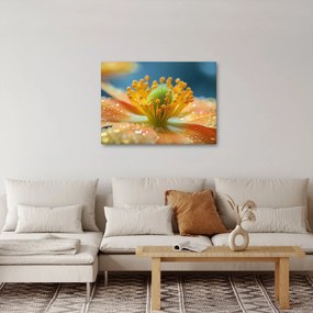 Kép - Részlet a virágból (70x50 cm)
