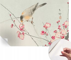 DekoratĂv öntapadĂłs fotĂłtapĂ©ta HĂĄlĂłszobĂĄba VirĂĄgos madĂĄr 104x70 cm