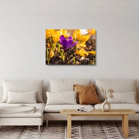 Lila virágok képe (üvegen) (70x50 cm)