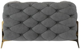 Szürke bársony fotel Chelsea Bis – Ropez