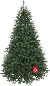Kanadai lucfenyő 100 % 150 cm