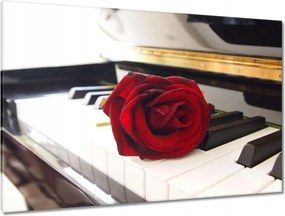 Festmények 120x80 Különböző a zongorán
