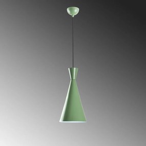 Tom - 3541 - Mint