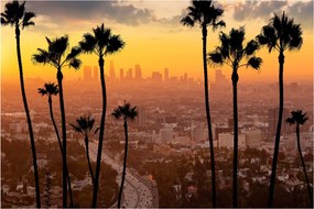 Kép - Los Angeles panorámája (90x60 cm)