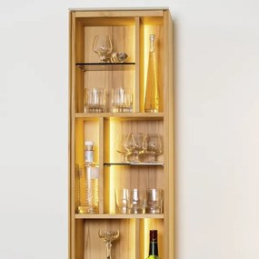 Eglo 32733 - 5m LED RGB szalag STRIPE-C LED/19W/230V