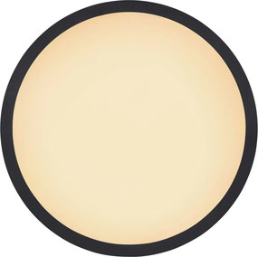 GLOBO 41562-18B SAPANA Kerek Mennyezeti Lámpa LED IP44