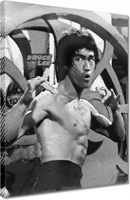 Vászonkép 30x40 Bruce Lee Karateka
