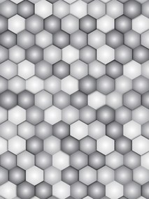 Fotótapéta Hatszögletű absztrakt minimalizmus szürke-fehér 184x254 +ragasztó