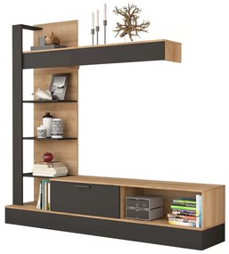 Nappali fal, riviera tölgy/fekete, GELUZA