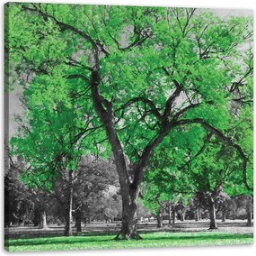 Vászonkép Fekete fák Zöld levelek Művészet 90X90 cm