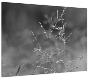 Kép - Vidéki rét (70x50 cm)