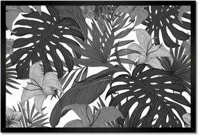 Monstera keretes poszterek 60x40
