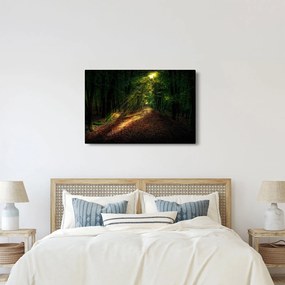 Erdei út képe (90x60 cm)