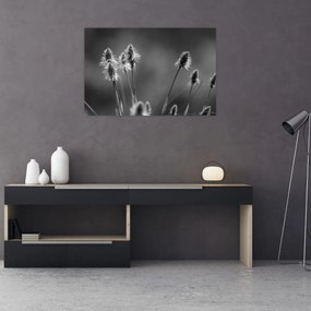 Kép - Bézs színű puha fű N⁰2 (90x60 cm)