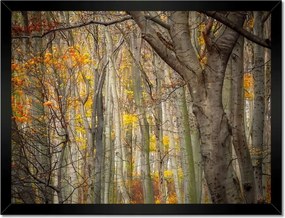 Poszterek keretben 40x30 Tájkép Látvány