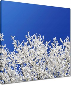 Vászonkép 50x50 Téli fa Dér Hó