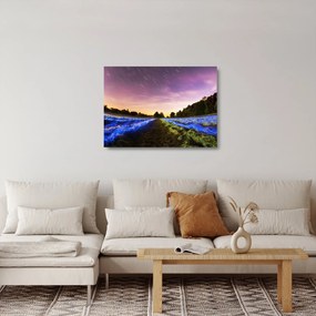 Színes mező képe (üvegen) (70x50 cm)