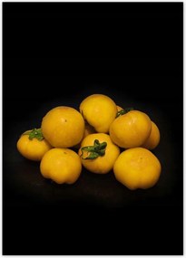 Poszterek 50x70 Sárga paradicsom