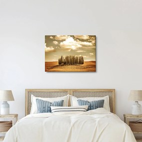 A Tisztás képe (70x50 cm)