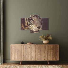 Tigris képe (90x60 cm)