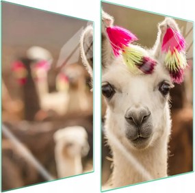 7in1 Üveg védőlap tűzhelyhez 2x35x52 Lama