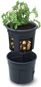 Prosperplast POTATO GROWER kaspó burgonya termesztésre 29,5 cm antracit