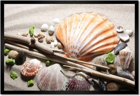 Poszterek keretben 60x40 Kagylók a balti tengerpartról