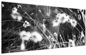 Kép - Pókháló a réten (120x50 cm)