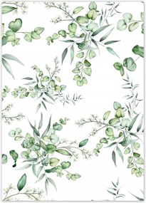 Poszterek 50x70 Eucalyptus Floral virág