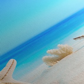 Kép - Csendélet kagylóval (120x50 cm)