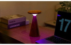 Sötét natúr színű LED asztali lámpa fa búrával (magasság 21 cm) Sylva – Gingko